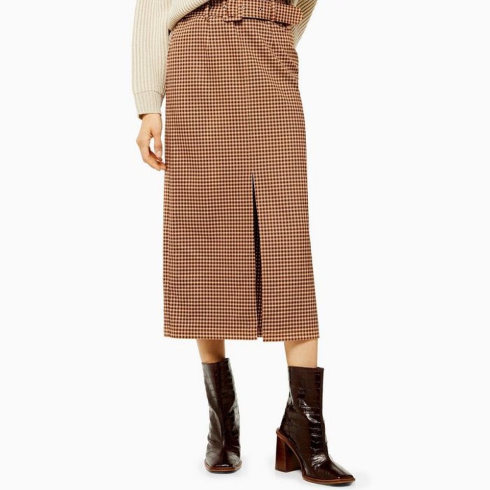TopShop Skirt